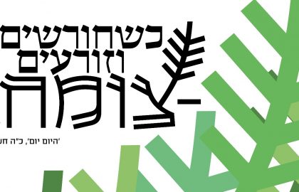 באיזה שלב אתם משלבים מעצב בתהליך עיצוב בית הספר – כשחורשים וזורעים, צומח.